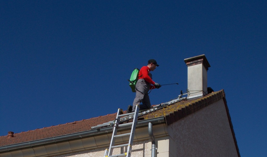 Entretien de votre toiture : démoussage et nettoyage de votre toiture en Normandie : Calvados, Seine Maritime et Eeure